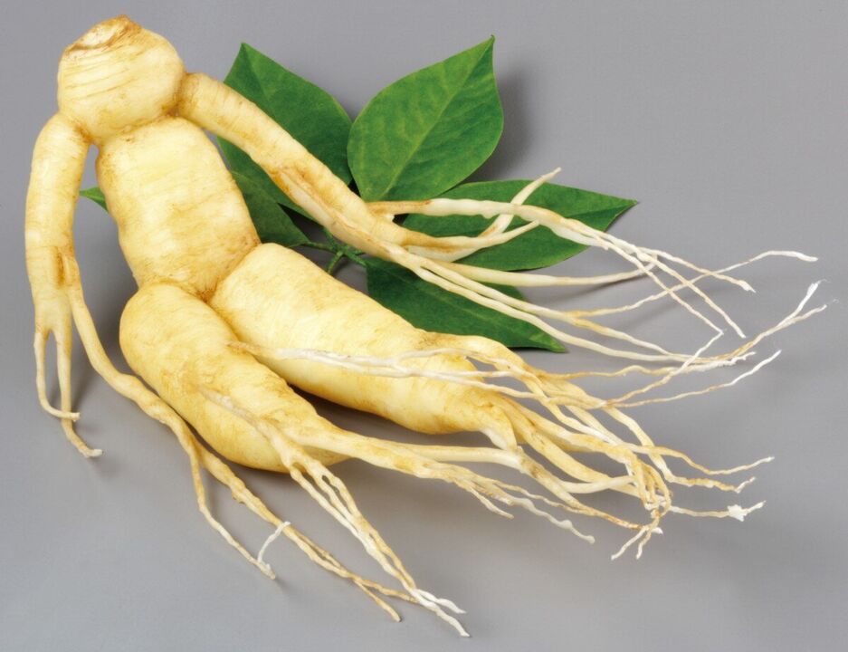 ginseng root potency