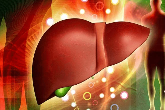 effects of the drug on the liver